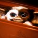 Gremlins 3, confermato il sequel prodotto da Steven Spielberg: ecco la data d'uscita