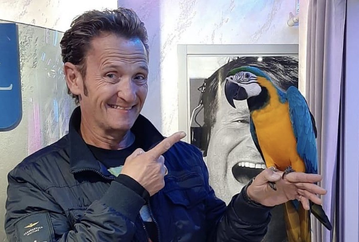 enzo salvi il politicamente corretto muore in tv e sui social la romanit224 unica al mondo