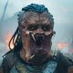 Predator: Badlands, il regista svela perché viene ringraziato James Cameron nei titoli di coda