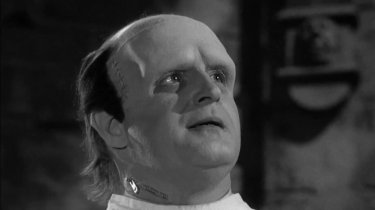 Frankenstein Peter Boyle
