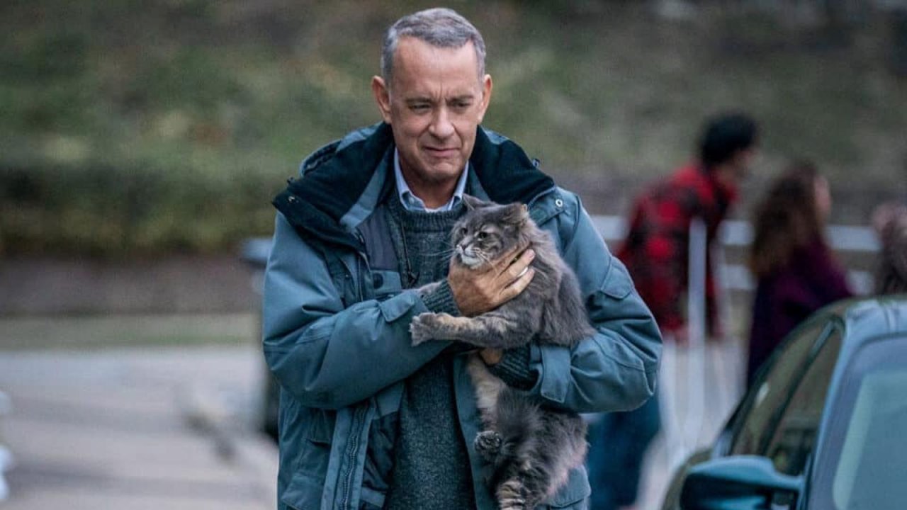 Non così vicino con Tom Hanks su Rai 1: trama e cast del film di stasera 23 novembre