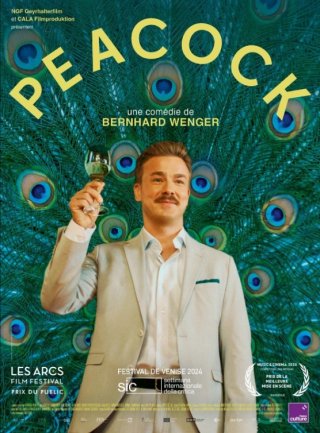 Locandina di Peacock - Un uomo (quasi) perfetto
