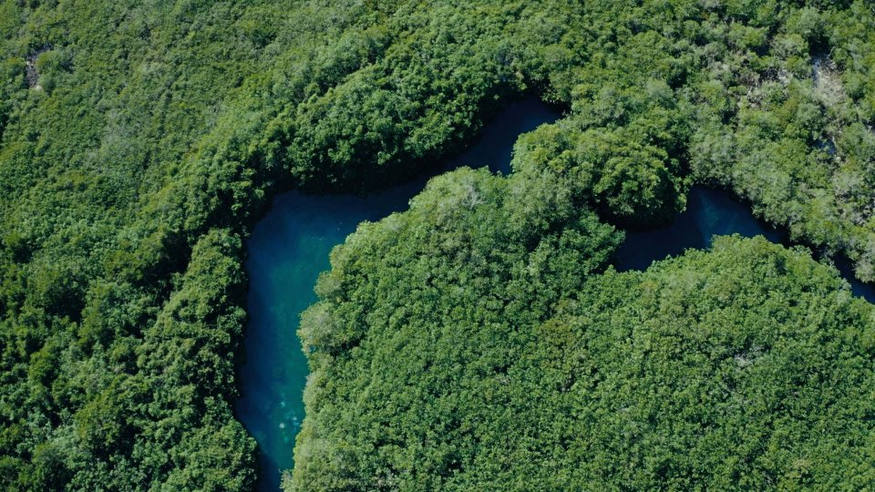 Choose Earth Altra Scena Docu Serie Prime Video