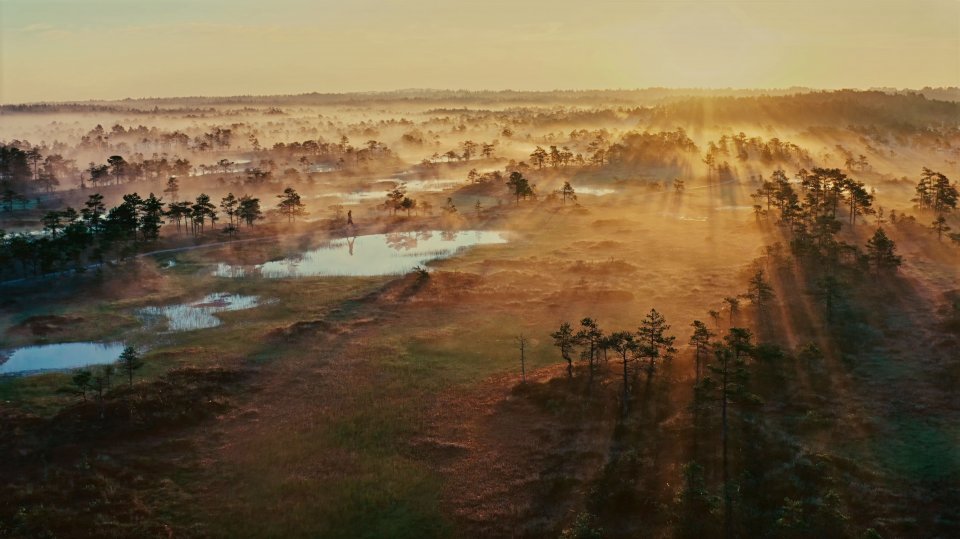 Choose Earth Sequenza Docu Serie Prime Video