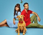 Merv, la recensione: serve un cane per far funzionare una coppia?