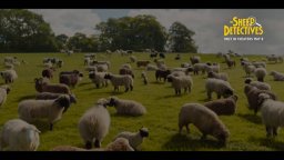 The Sheep Detectives - Trailer del film con Hugh Jackman, Emma Thomson e tante pecore