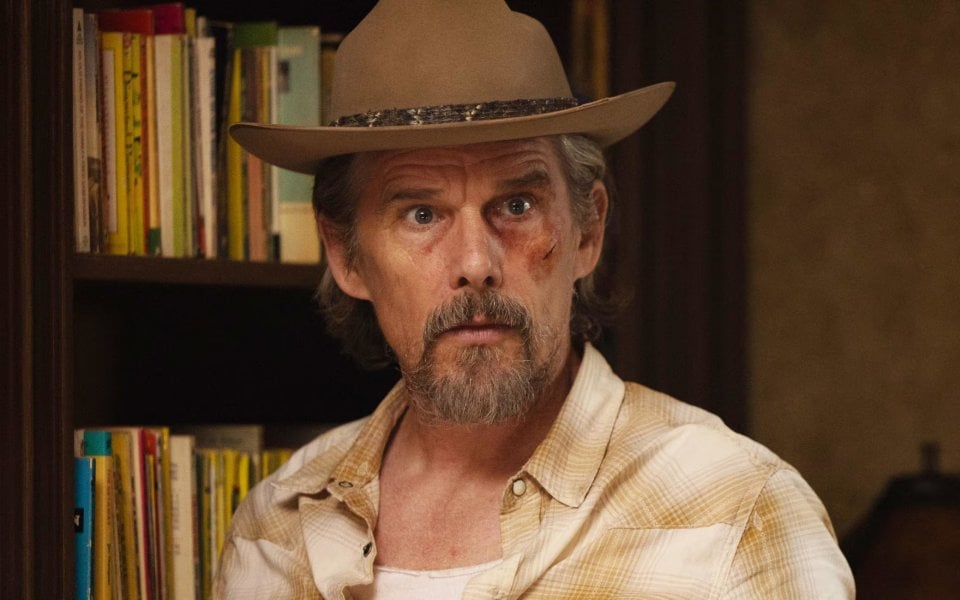 The Lowdown Ethan Hawke Foto Serie Tv Disney Plus