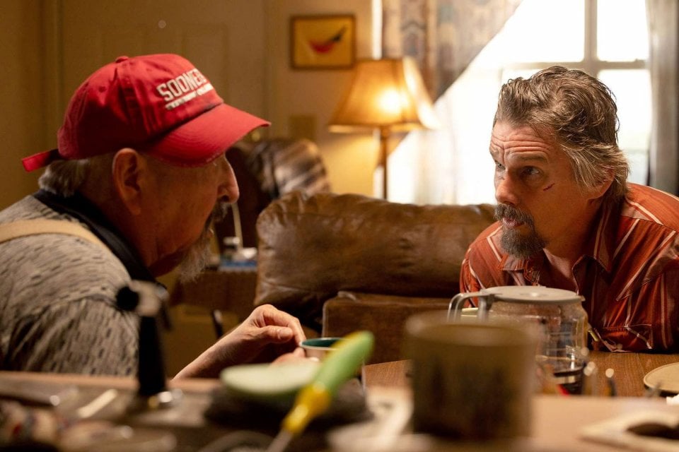 The Lowdown Ethan Hawke Immagine Serie Tv Disney Plus