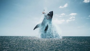 Un Immagine Di The Black Demon