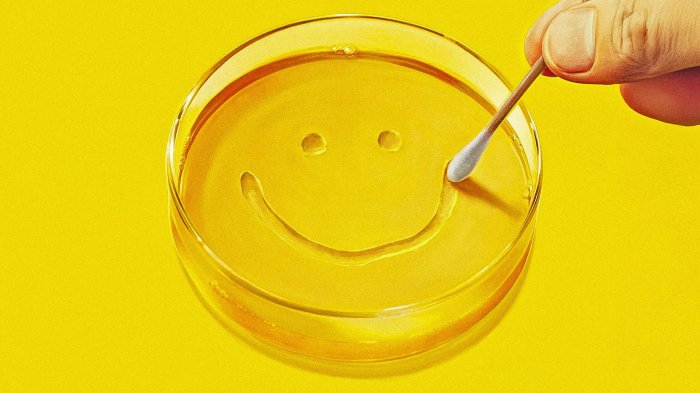 Pluribus: 5 serie da vedere se avete amato lo show di Vince Gilligan