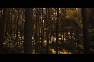 Avengers: Doomsday - Teaser Trailer 'Thor'