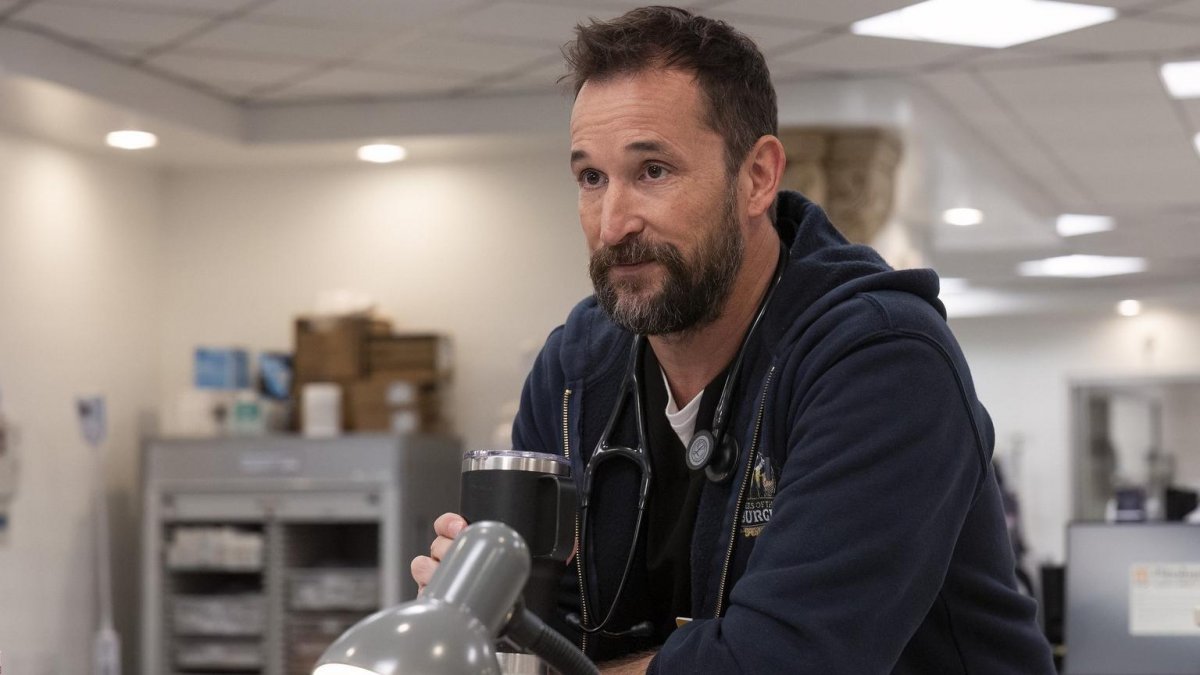 the pitt e the bear guidano le nomination ai dga tv awards 2026