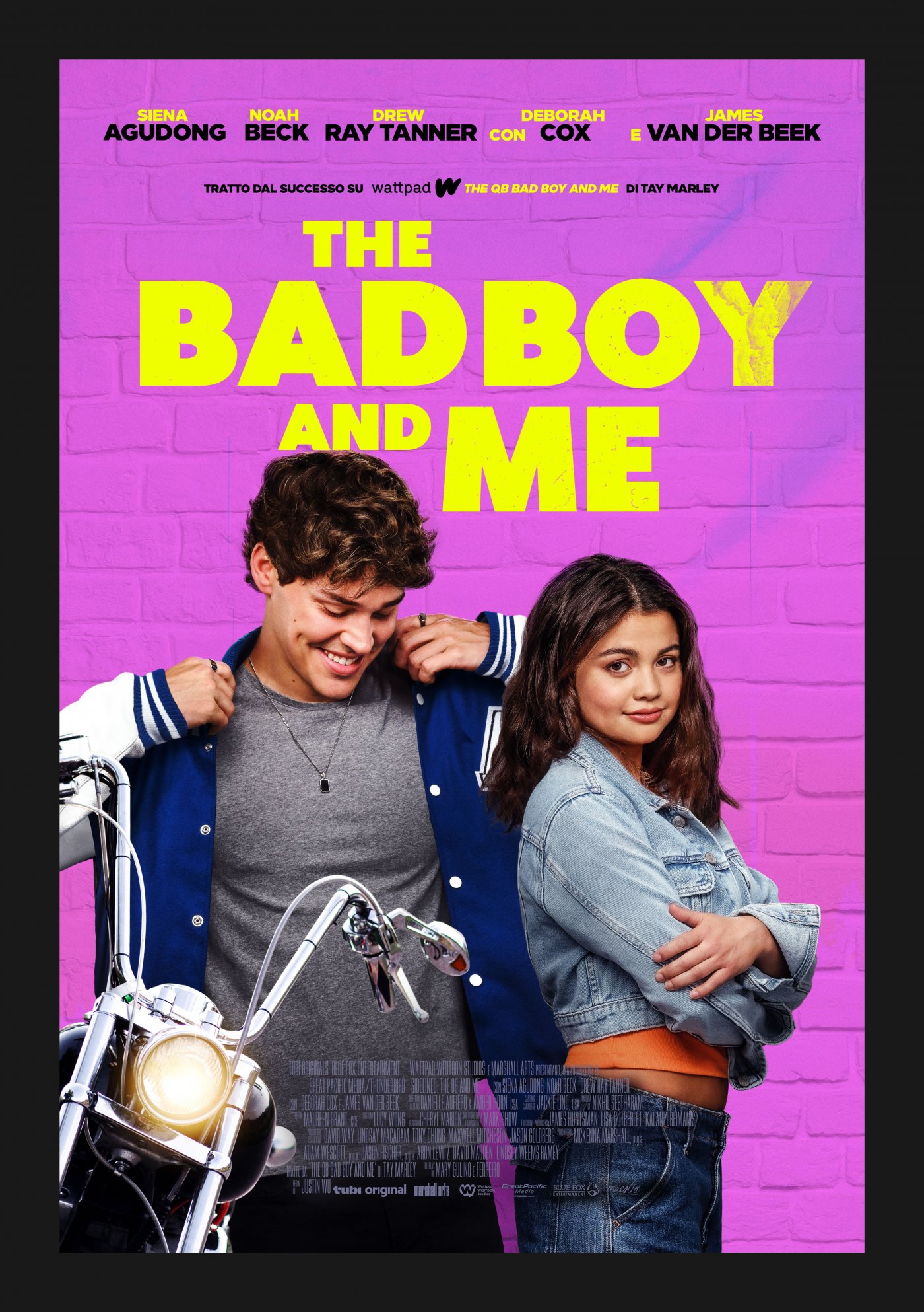 https://movieplayer.it/film/the-bad-boy-and-me_65375/