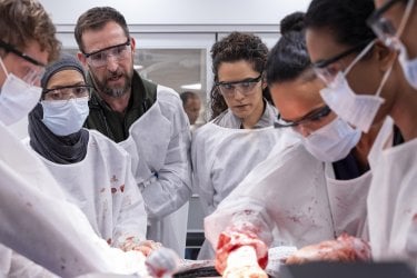 The Pitt 2 Scena Serie