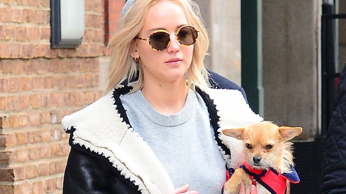 jennifer lawrence sommersa dalle critiche online per il trattamento riservato al suo cane da Movieplayer.it jennifer lawrence sommersa dalle critiche online per il trattamento riservato al suo cane