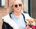 Jennifer Lawrence sommersa dalle critiche online per il trattamento riservato al suo cane