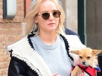 Jennifer Lawrence sommersa dalle critiche online per il trattamento riservato al suo cane