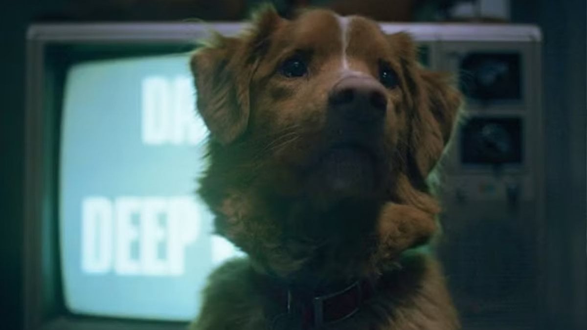 Il cane Indy, star di Good Boy, proclamato Miglior Attore agli Astra Awards