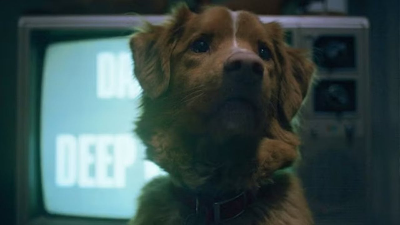 Il cane Indy, star di Good Boy, proclamato Miglior Attore agli Astra Awards