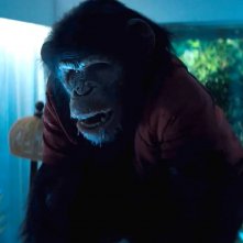 Ben - Rabbia animale: Ben in preda alla rabbia