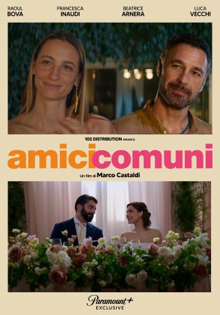 Locandina di Amici comuni