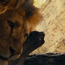 Ellie e la città di smeraldo: il Leone codardo