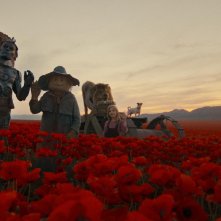 Ellie e la città di smeraldo: l'autoscatto tra i papaveri