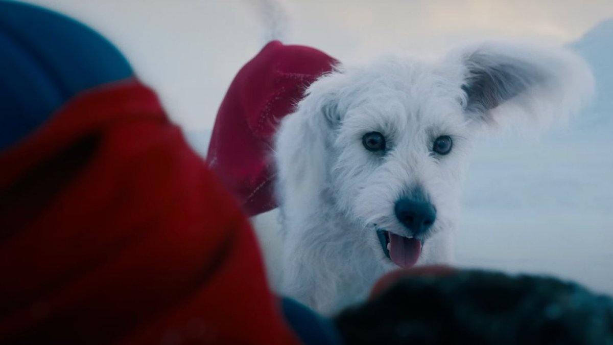 Superman: lo script rivela una scena inedita con protagonista Krypto