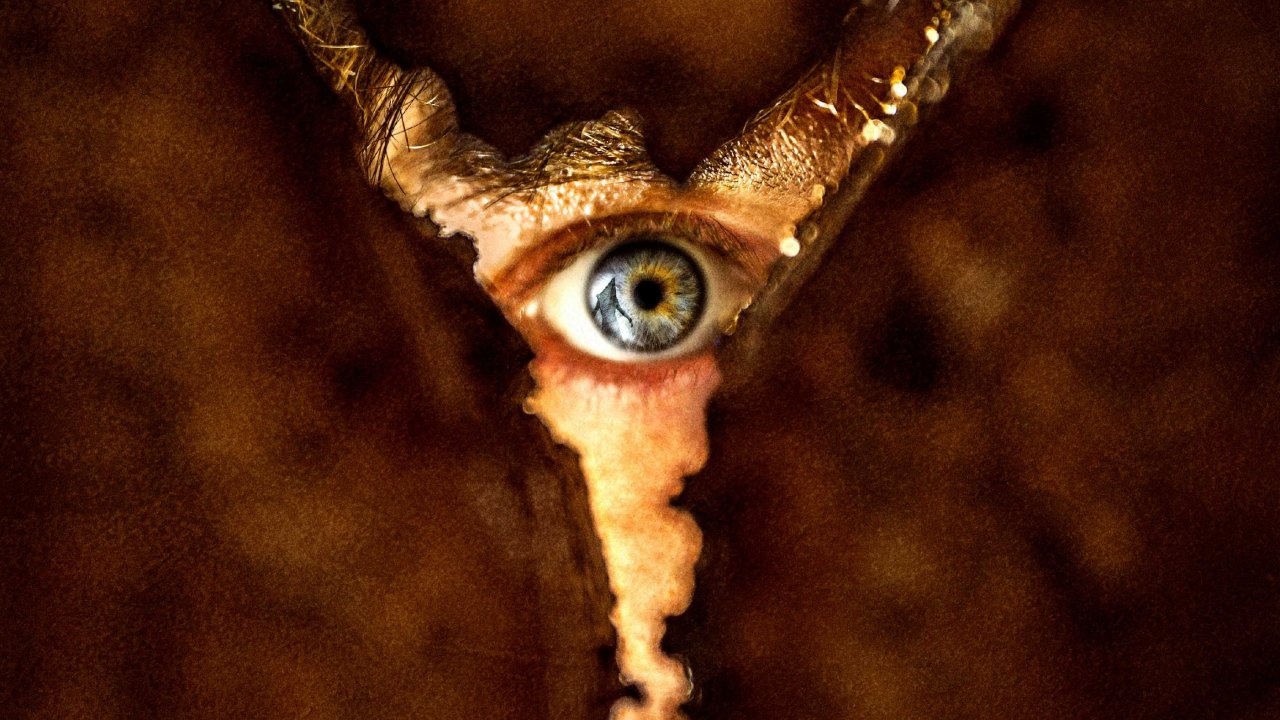 Un'immagine di Return to Silent Hill