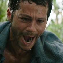 Send Help: Dylan O'Brien in una scena