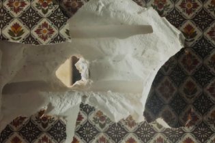 La mattina scrivo - Trailer italiano del film di Valérie Donzelli con Bastien Bouillon