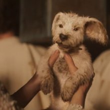 Supergirl: un'immagine di Krypto da cucciolo