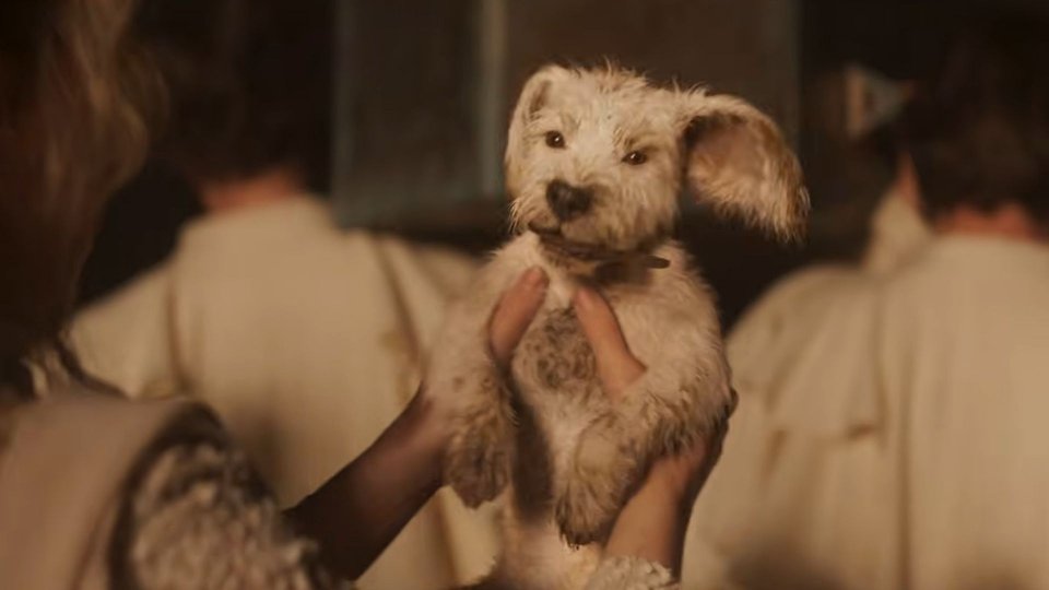 Supergirl Baby Krypto Spot Superbowl