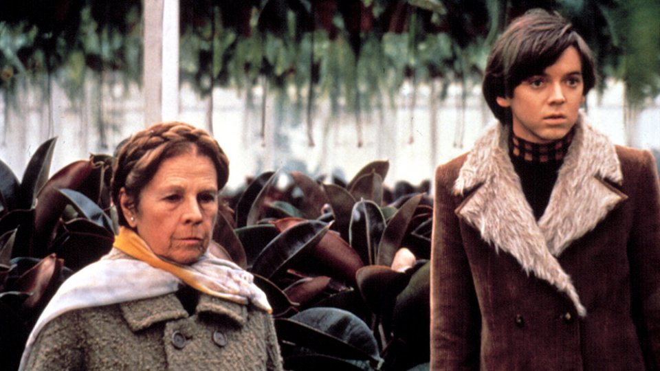 Harold And Maude