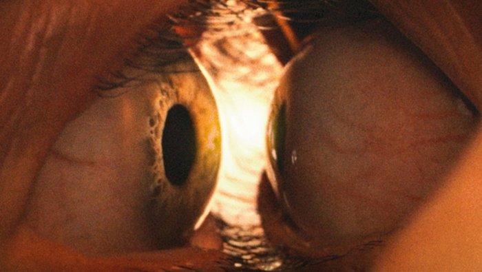 Together: in 4K UHD il sorprendente body-horror è ancora più disturbante