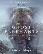 Locandina di Ghost Elephants