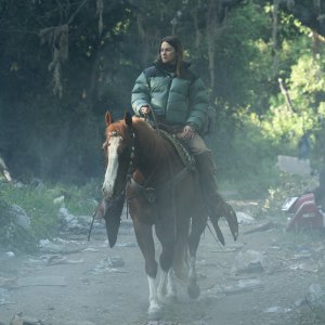 Shailene Woodley è la new entry principale della stagione 2