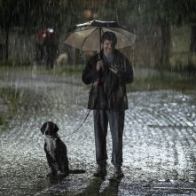 Un bel giorno: Fabio De Luigi in un frame