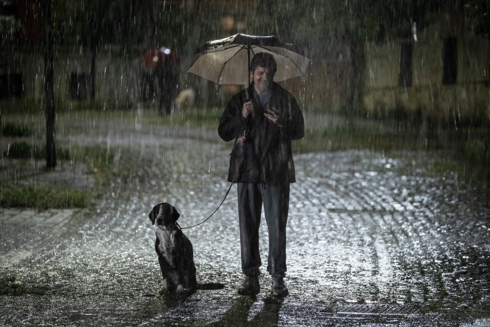 Un Bel Giorno Immagine