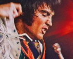EPiC: Elvis Presley in Concert, musica e sudore di una divinità scesa in terra