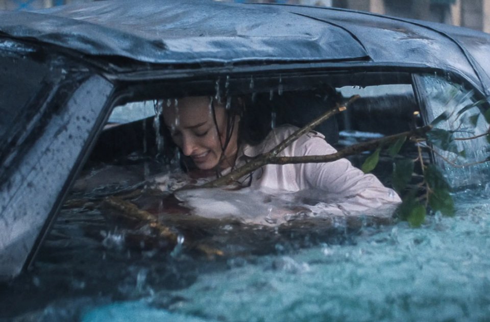 Thrash Phebe Dyvenor Auto Acqua