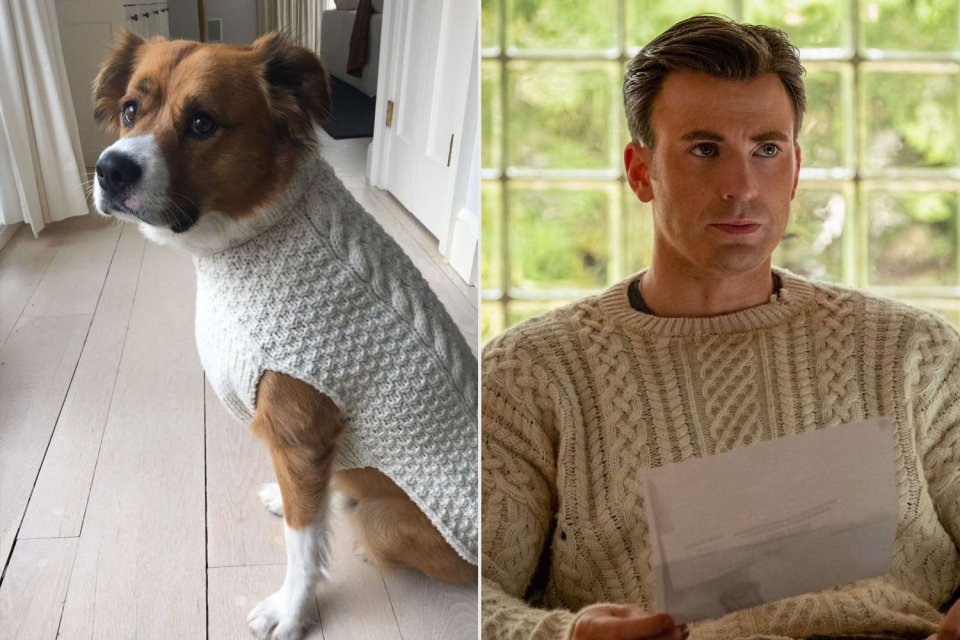 Chris Evans Cane Dodger Maglione