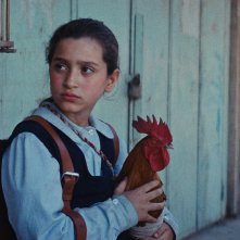 La torta del presidente: Baneen Ahmad Nayyef in una scena