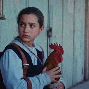 La torta del presidente: Baneen Ahmad Nayyef in una scena