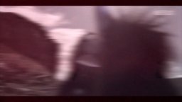 Peaky Blinders: The Immortal Man è il finale che meritavamo?