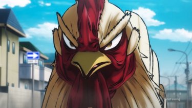 Rooster Fighter Keiji Si Prepara A Combattere