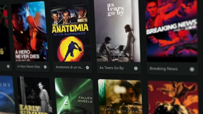 “Il cinema digitale non è al sicuro”: la missione  per salvare la nostra memoria