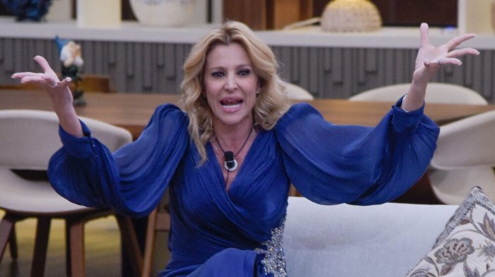 Grande Fratello Vip, pagelle quinta puntata: Adriana Volpe e la sua privacy (7), Ibiza da brividi (2)