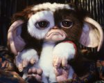 Gremlins 3: una star amatissima guiderà il cast?
