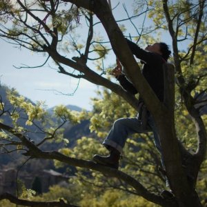 Storie di donne, uomini e comunità: un'immagine durante la raccolta di mimose